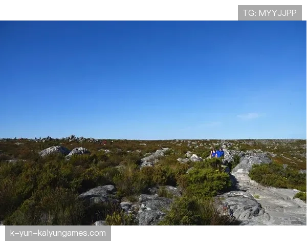 南非投球火力强劲，完封对手再取三分，南非擅长的球类运动